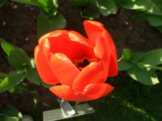 CIMG0392