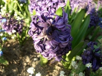 CIMG0407