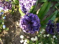 CIMG0408