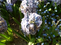 CIMG0409