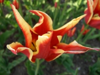 CIMG0412