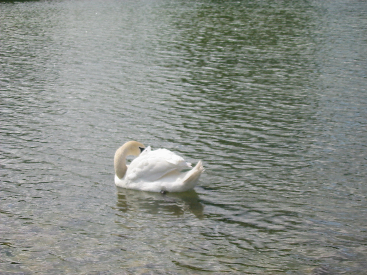 Finchen_3004 095
