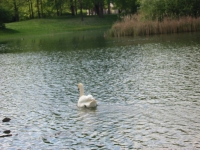Finchen_3004 103