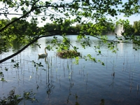 Finchen_0405 020