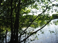 Finchen_0405 025