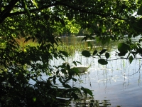Finchen_0405 026