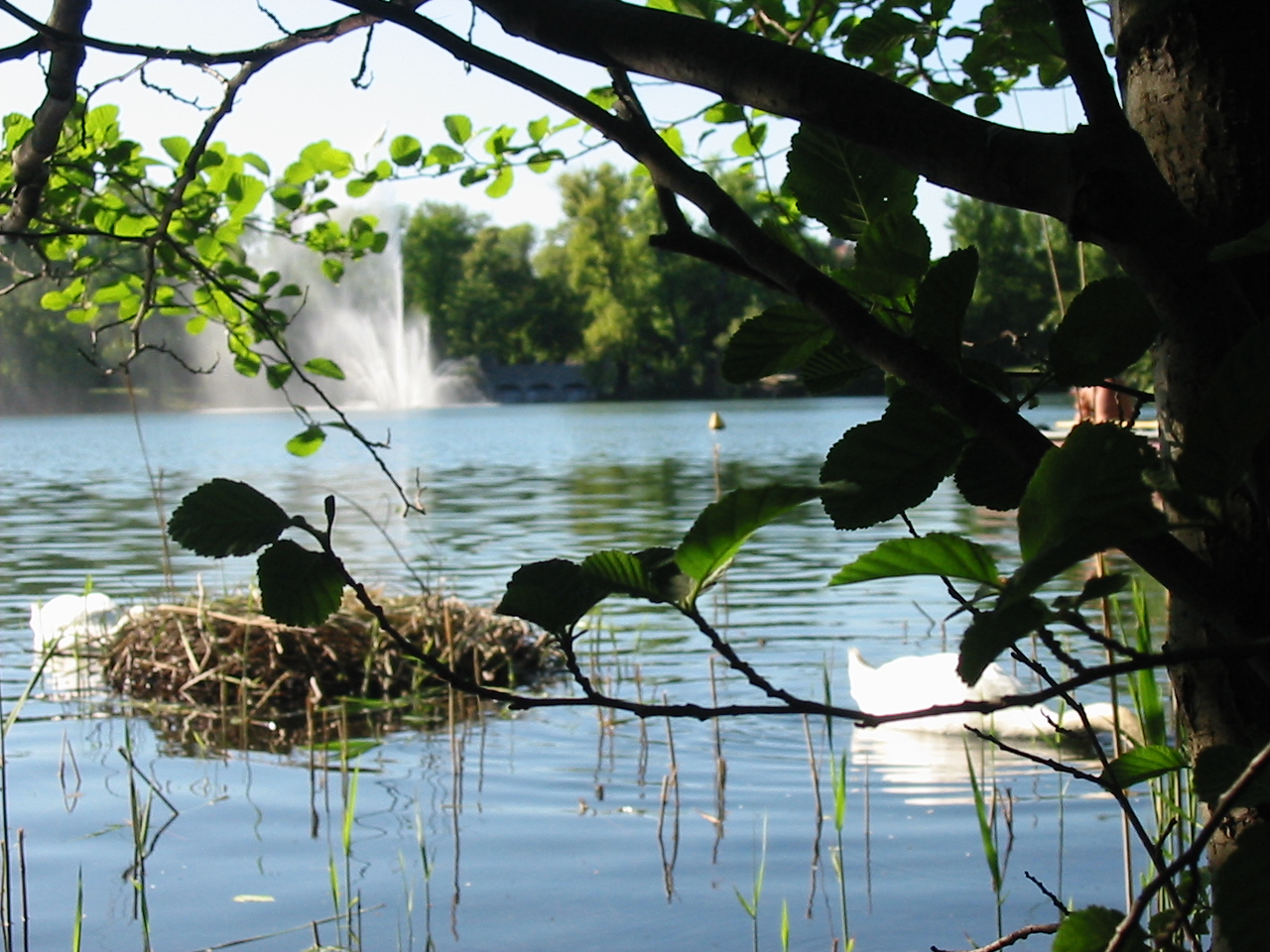Finchen_0405 036