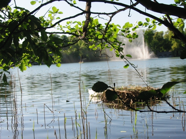 Finchen_0405 037