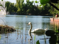 Finchen_0405 098