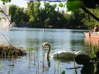 Finchen_0405 099