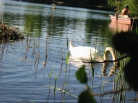 Finchen_0405 103