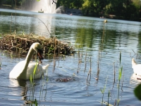 Finchen_0405 104