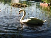Finchen_0405 131