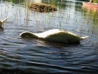 Finchen_0405 132