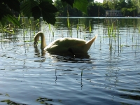 Finchen_0405 133
