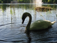 Finchen_0405 136
