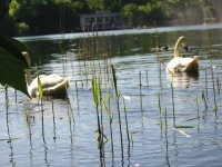 Finchen_0405 140