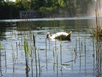 Finchen_0405 141