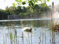 Finchen_0405 142