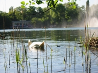 Finchen_0405 143