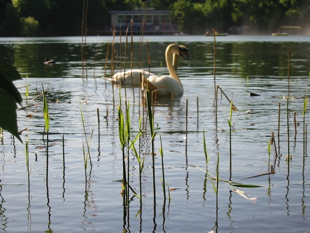 Finchen_0405 144