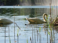 Finchen_0405 145