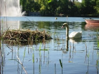 Finchen_0405 148