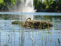 Finchen_0405 149