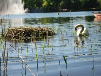 Finchen_0405 150