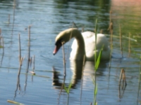 Finchen_0405 154
