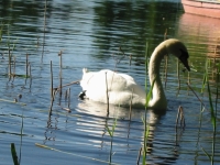 Finchen_0405 157