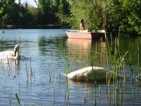 Finchen_0405 168