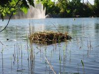 Finchen_0405 182