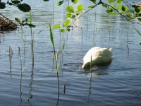 Finchen_0405 186