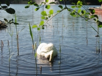 Finchen_0405 189