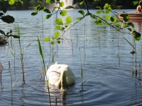 Finchen_0405 191