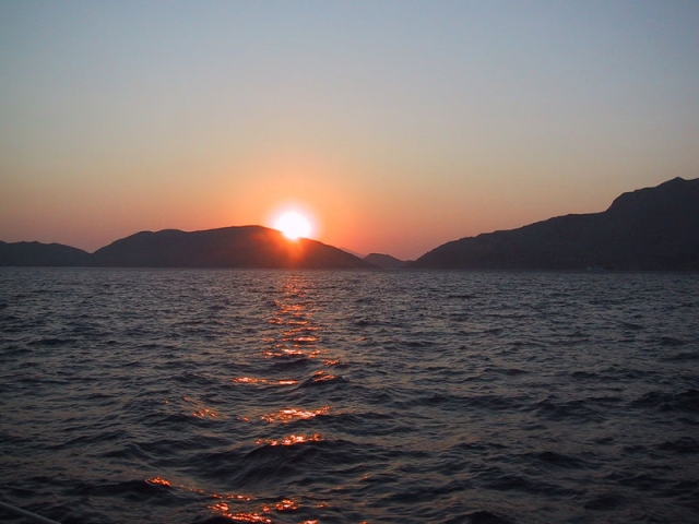 (17)