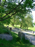 CIMG0233