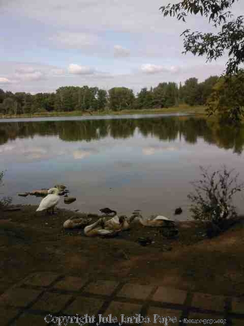 â€˜Kommt, und lasst uns zusammentreffenâ€™