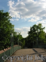 Vertiefe â€ždie Liebe, die du zuerst hattestâ€œ